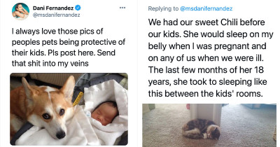 24 Adorable Photos Of Protective Pets Guarding Children