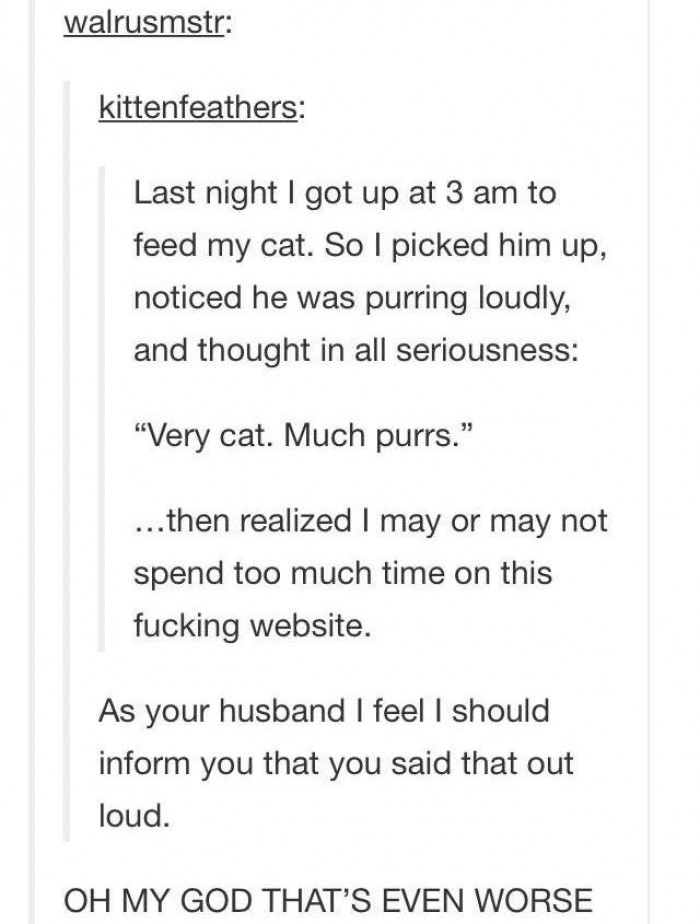 12. So many purrs.