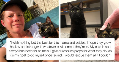 Foster Cat Mom Rescues A Kitten From Her Vent And Reflects On Life Fostering Cats In Need