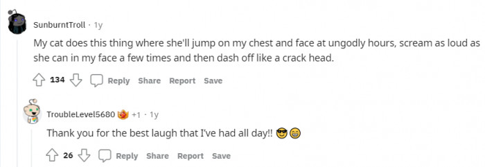 Again, cats are a little weird.