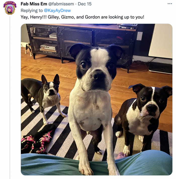 These three musketeers find Henry to be an inspiration