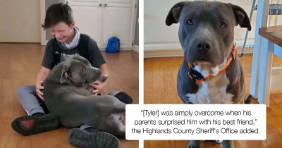 Emotional And Exciting Reunion Of A Lost Dog With His Human Will Leave You In Tears