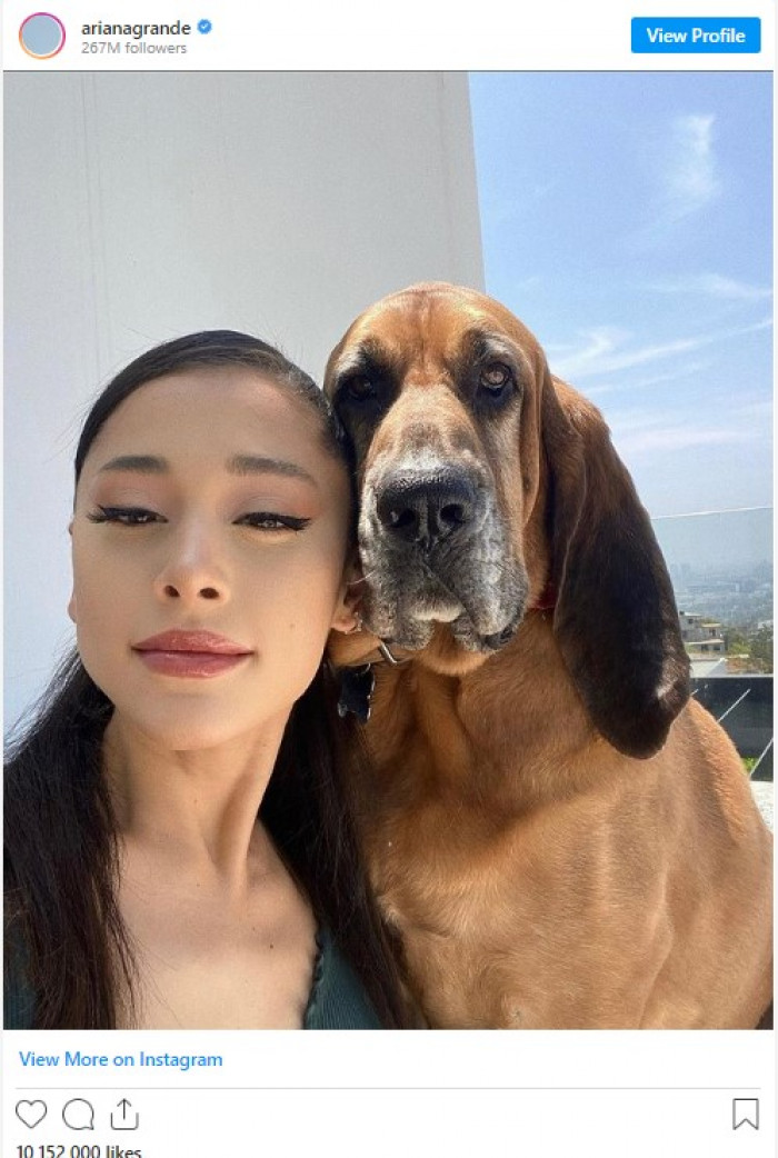 1. Ariana Grande and her bloodhound, Lafayette.