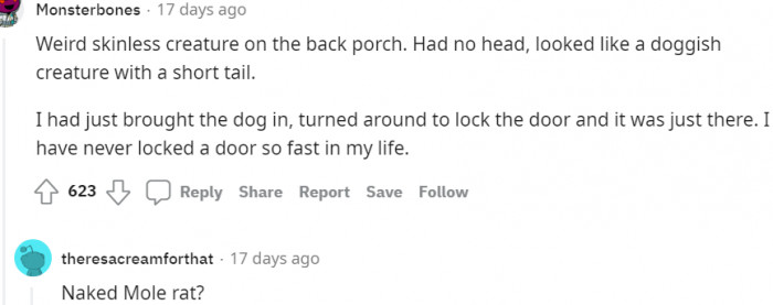 16. A weird skinless creature on the back porch