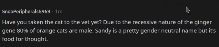 Quite the valid point, will this be a boy cat named Sandy? Pawsibly. 