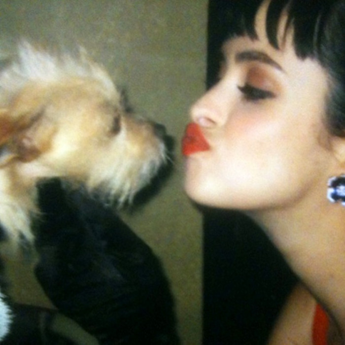 13. Krysten Ritter and her adopted dog, Mikey