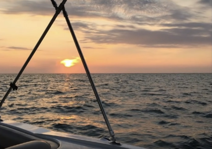 From East to West, the Gulf of Mexico is 1,100 Miles Wide; North to South, It's 800 Miles Wide—It Was More Than Luck That the Dog Got Spotted in an Area That Large