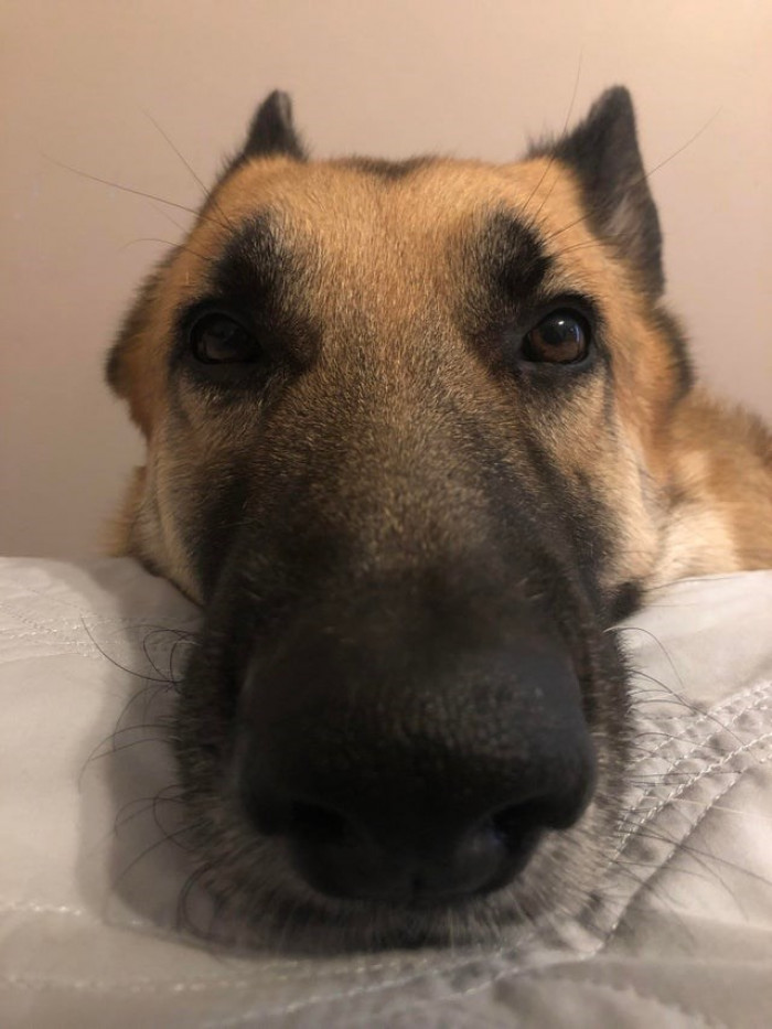 17. Check out the snoot