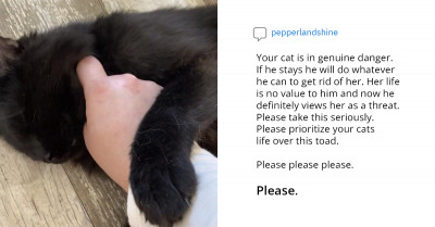 Woman Is Asking If She Is The Worst For Kicking Her Boyfriend Out Over Disagreements About Her Cat