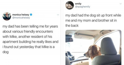 10+ Wholesome Tweets About Dogs That Will Make You Even More Obsessed With Them