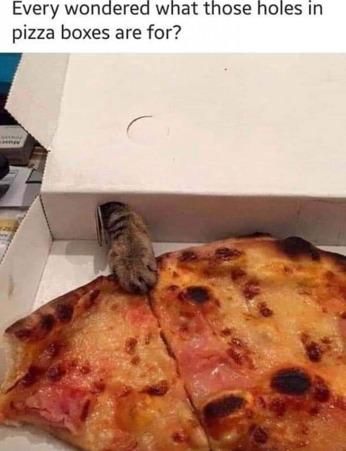 Conveniently, They're Sized Just Purr-fectly...