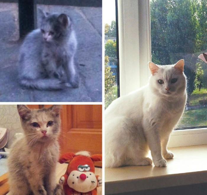 13. “A guy from the bus stop who ate all of our food”