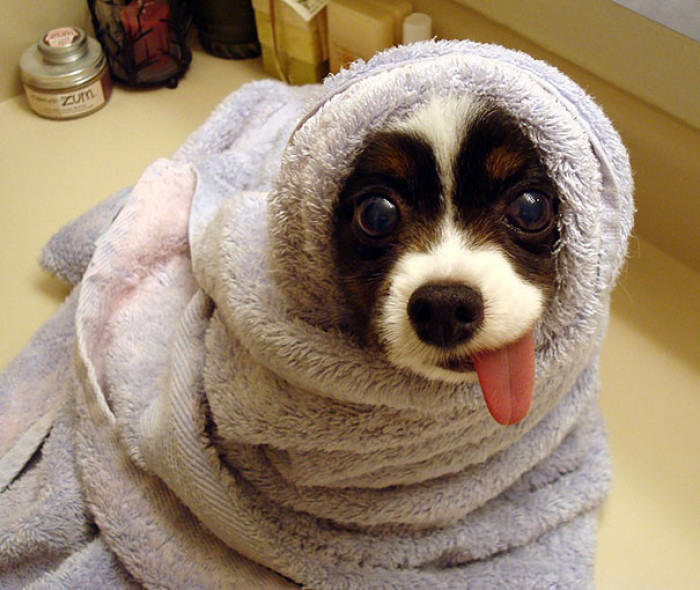 41. After bath