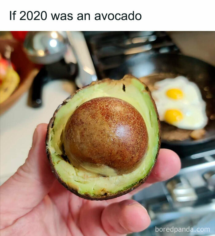 ... an avocado 