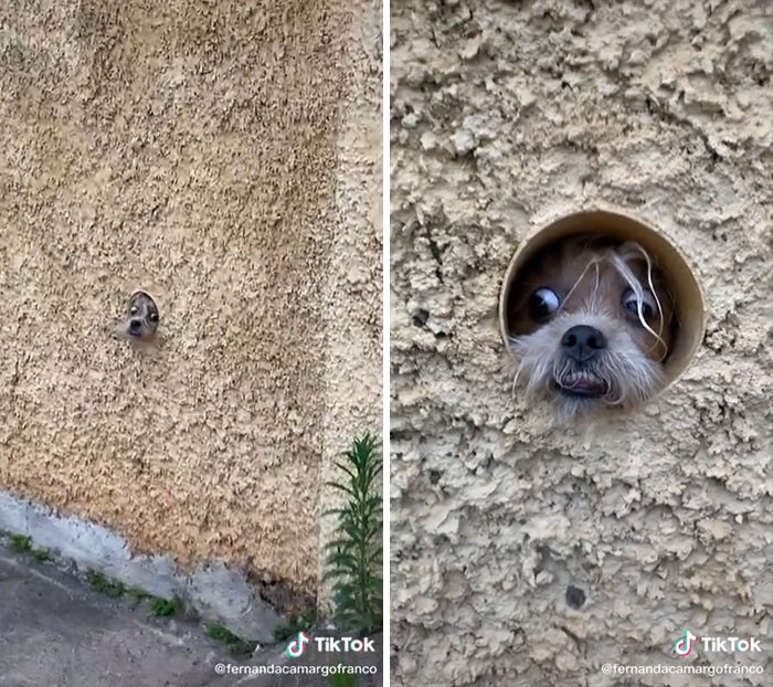 31. I know there's something out there you don't want me to see!