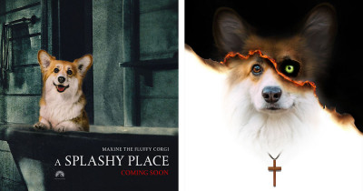 Corgi Was Photoshopped Into Various Hit Movie Posters And They Look Even Better Now