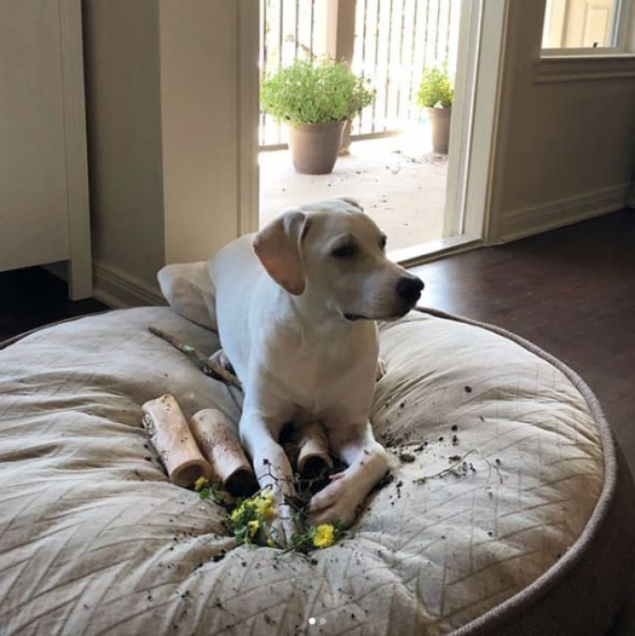 "It was in my spot; what did you expect me to do?"