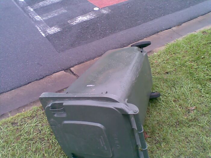 A boundary dispute and these significant wheelie bins.