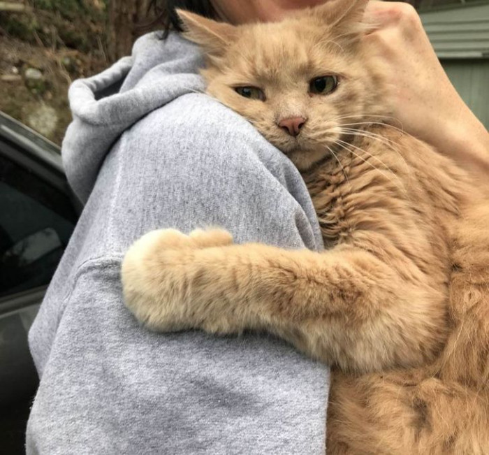 1. You can see the distress in the eyes of this cat who was hugging his owner after being lost.