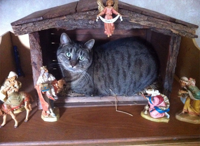 36. "What's This You Brought Me? Frankincense?"