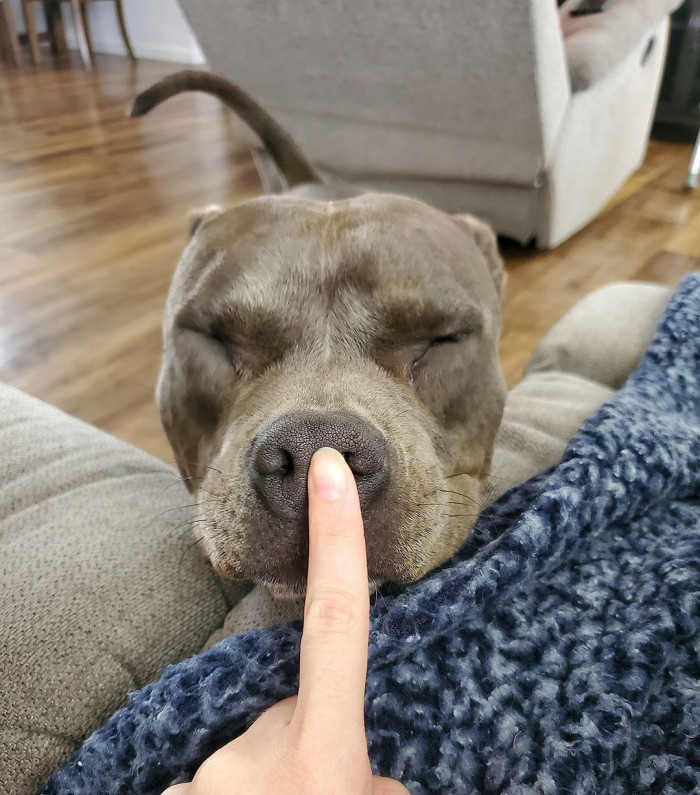 14. Blissful after a boop