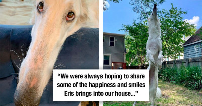 Dog Becomes An Internet Celebrity Thanks To His 12.2 Inch Snout