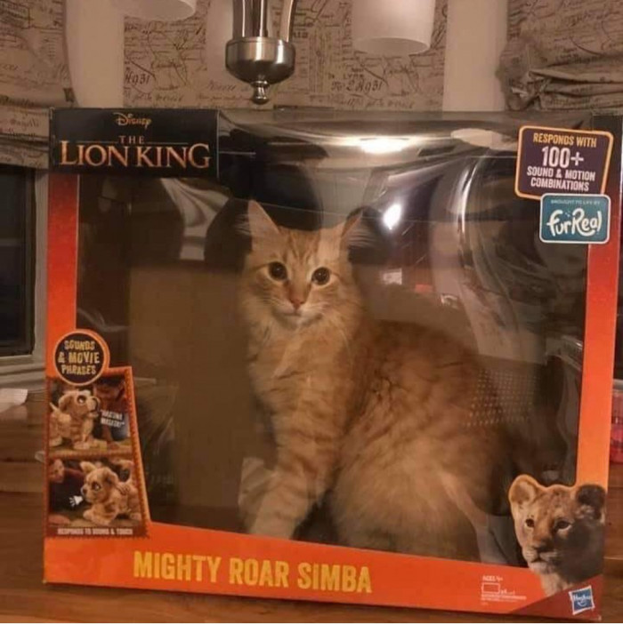 Disney Is Killing the Live-Action Realistic Stuff.