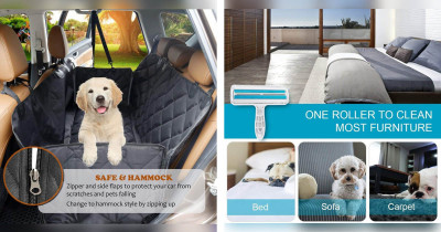Things That Will Help With Your Pet Hair Problem At Home