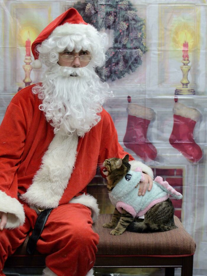 25. "Silly Boy Hated Santa! I've Never Seen Him So Angry at Someone"