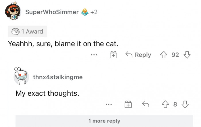 They always blame it on the poor cat or dog.