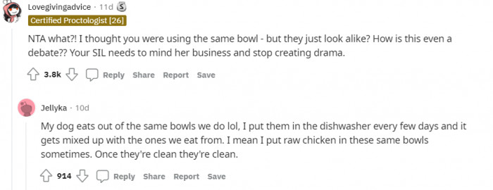 It seems that a lot of people are like this woman in the sense that they also use the same type of bowls for their pets and themselves and their family.