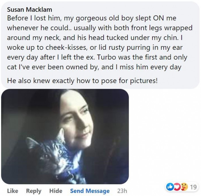 4. My cat slept ON me, and he knows how to pose for the camera