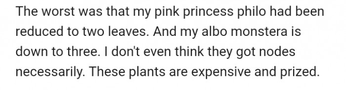 Imagine what it would feel like to lose your expensive and prized possessions