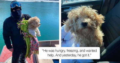 "Miracle Dog" Gets Saved After Spending Four Days Trapped On A Frozen River Island