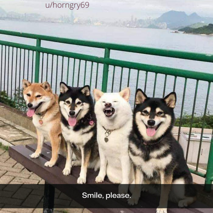 10. Heckin' fantastic.