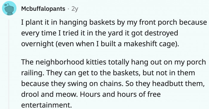 Finally, an anecdotal story and catnip does make cats behave crazily