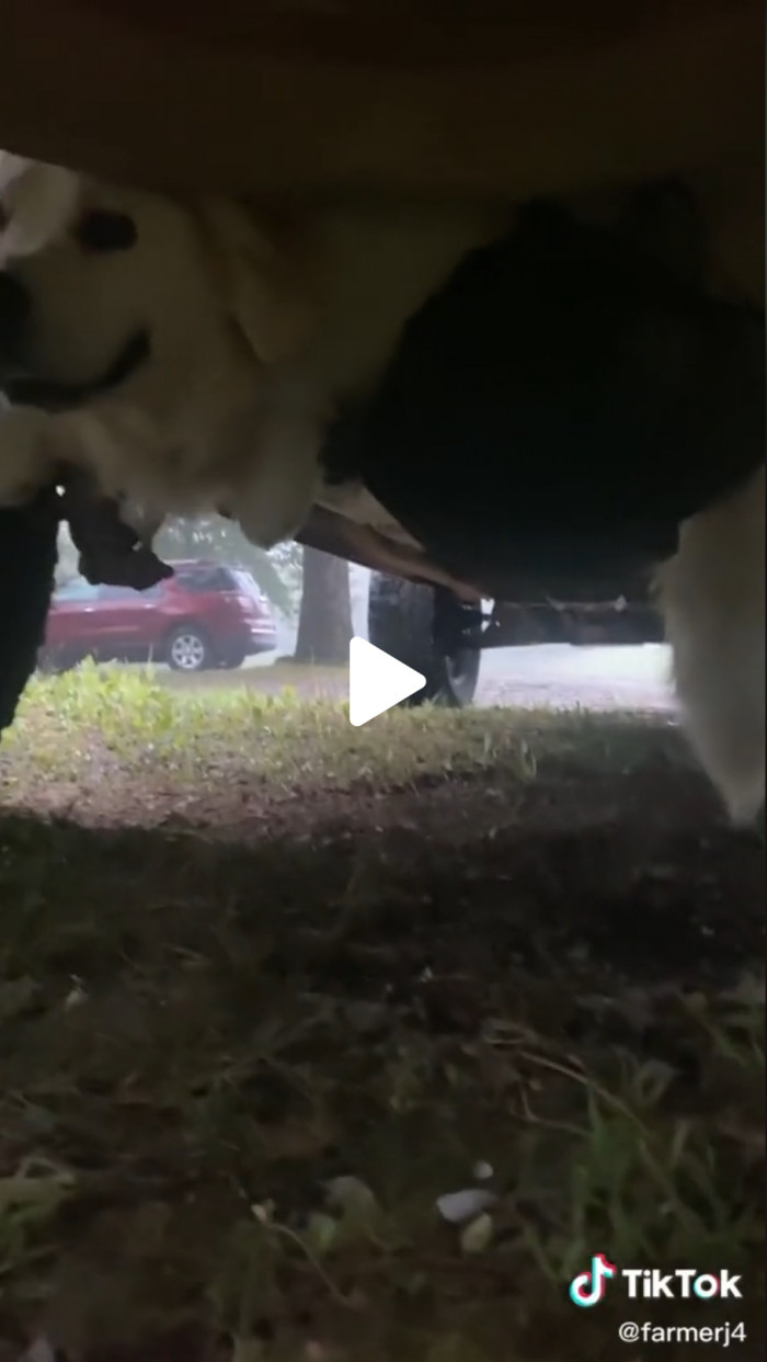 See that little smile? You cheeky, cheeky boy, Albus!