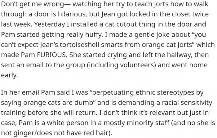 Jokes cannot be classified as ethnic stereotypes only because they contain the word "orange"