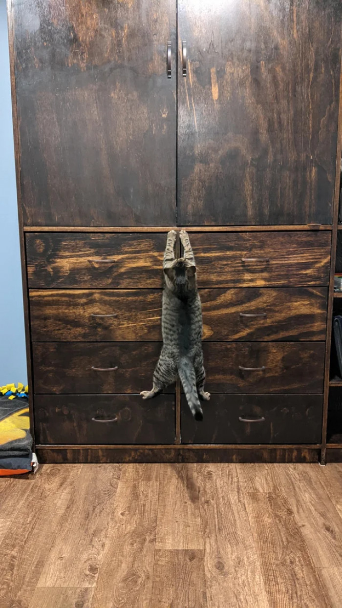 18. Reward yourself for climbing small mountains, or in this case, for not falling off of one