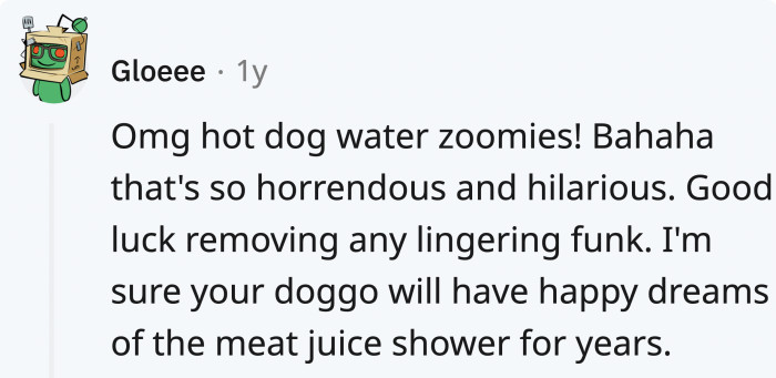 The dog is off to find a new dream