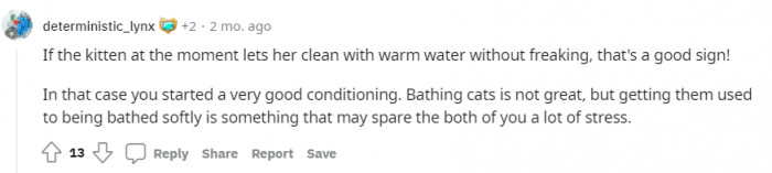 Very true. OP has a good kitten who doesn't actually hate water.