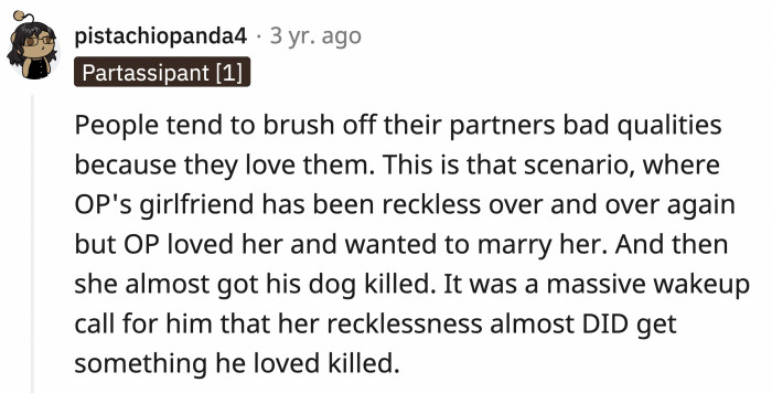 Someone said OP brushed off those small mistakes because of love, and this accident with his dog was the final wake-up call that OP couldn't ignore.
