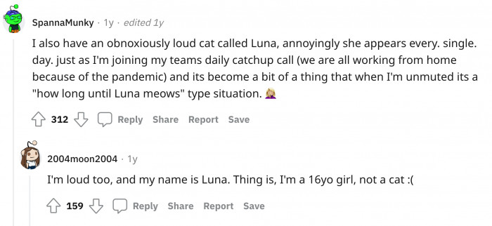 It seems that cats and people named Luna have a noisy personality.