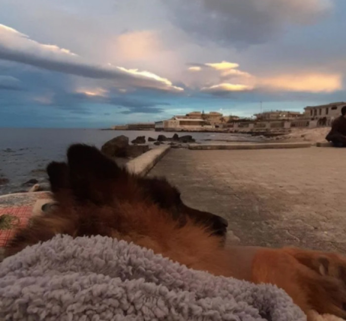 He finds peace in the remaining days of his life