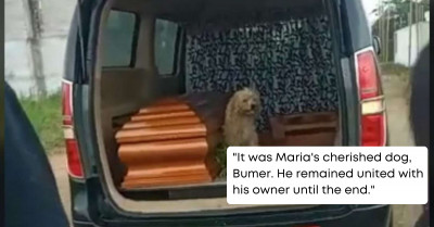 Loyal Dog Doesn't Want To Leave His Owner's Side As She's Laid To Rest