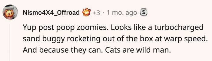 The owner is not alone, as other cat owners shared anecdotes of their own troublemakers