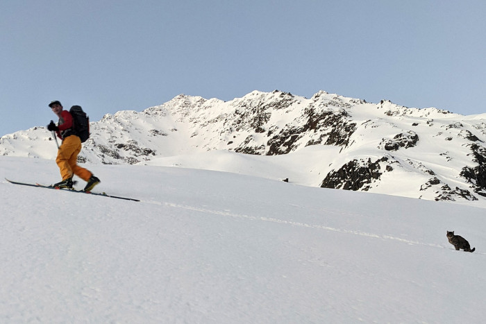 Cyril and Erik Rohrer were embarking on the challenge of climbing the 10,000-foot summit of Mt. Britsen when they heard a mysterious noise.