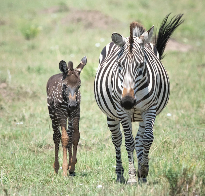 On a stroll with Mom