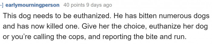 For a number of Redditors, euthanizing the dog is the best decision.