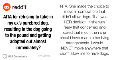Ex-Girlfriend Gets Angry at Ex-Boyfriend for Saving Her Purebred Dog, Who Immediately Got Adopted After She Sent It to a Dog Shelter